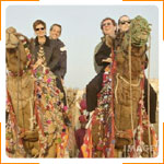 Mature tourists riding decorated camels, laughing Udaipur, Rajasthan