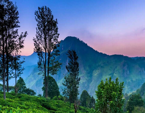 Sri Lankan Gateway