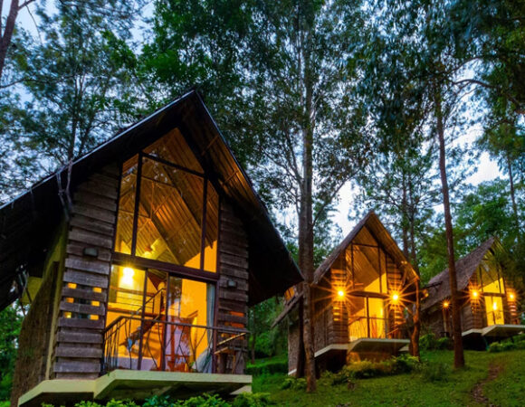 Wildlife tour of South India
